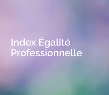 index-egalite-professionnelle