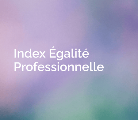index-egalite-professionnelle