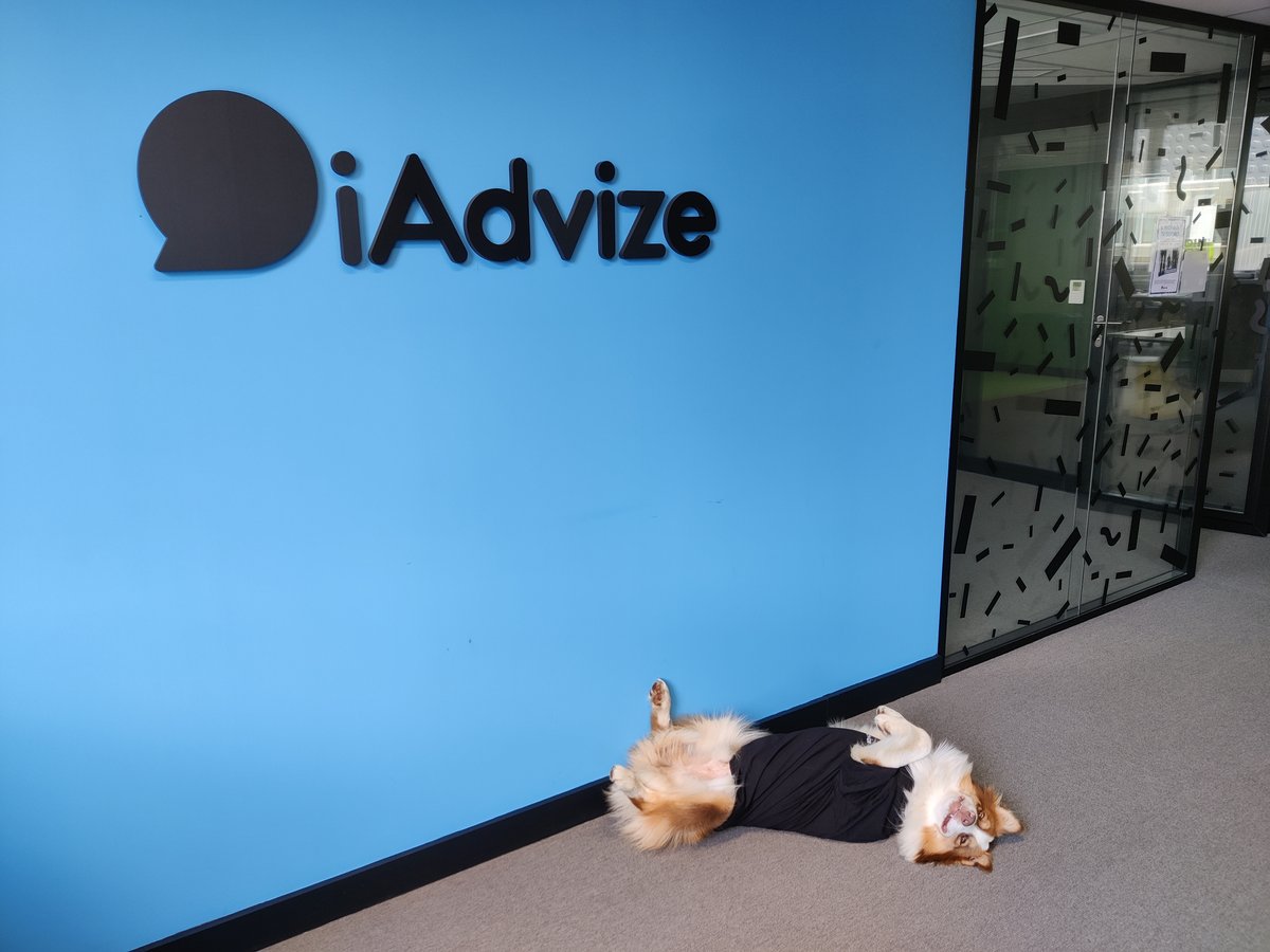 Dog's Day at iAdvize
