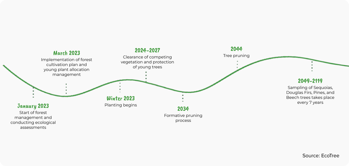 The timeline of the Guiscriff Forest's development