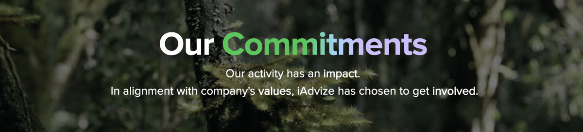 Our commitments