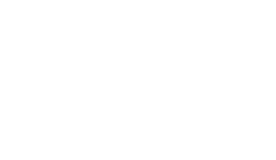 Maison Berger logo