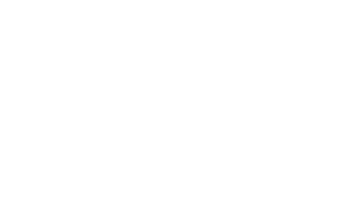 Brother_logo 1-1