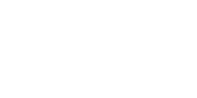 Bouygues 