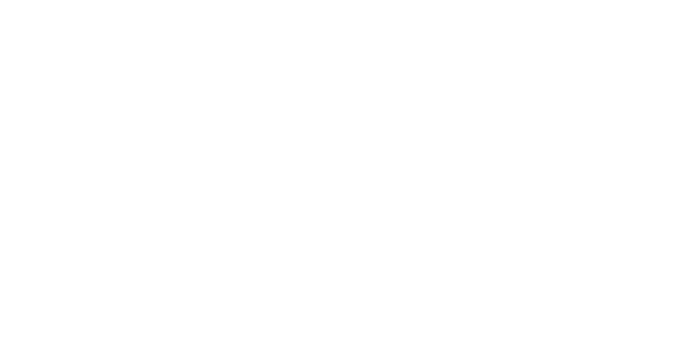 Leroy Merlin