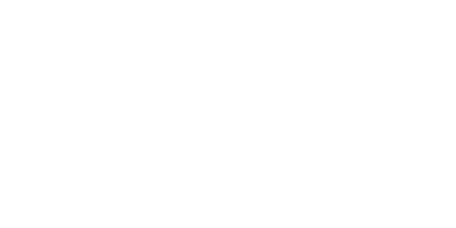 Cdiscount 