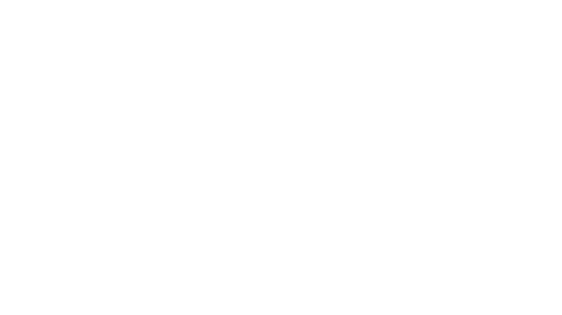 Intersport 