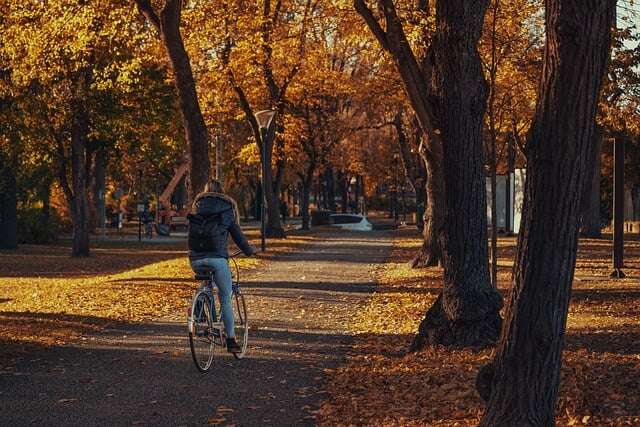 Le vélo chez iAdvize : promouvoir la mobilité durable et collective